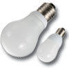 picture (image) of bulb style